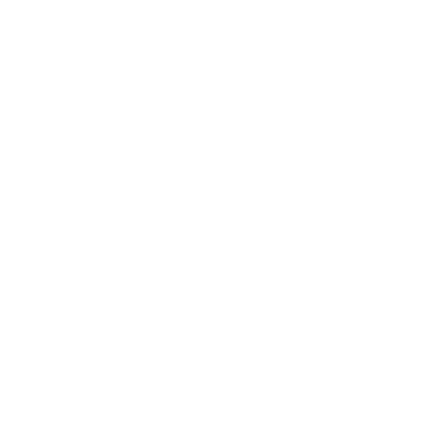 Alto del Carmen